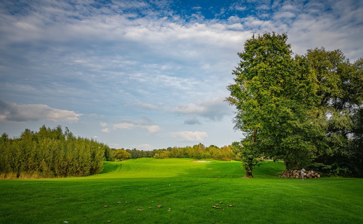 Luscious green golf course grass.